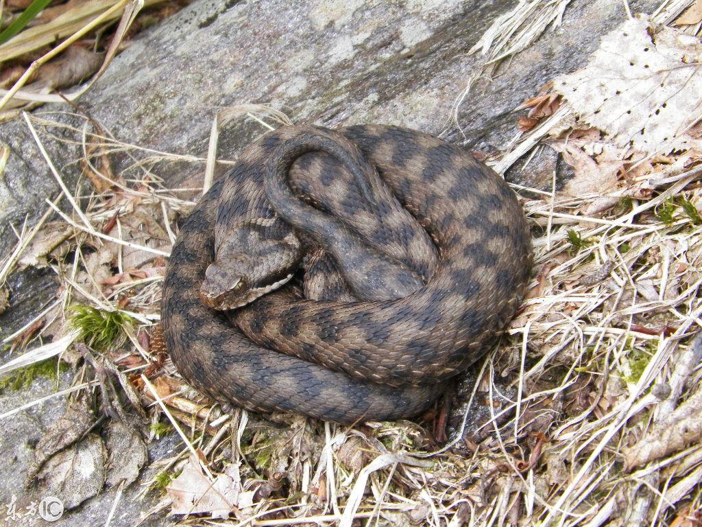 吉林——东北明珠的蜕变与崭新面貌