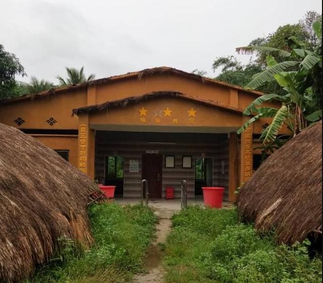 海南，热带风情与独特魅力的评论文章